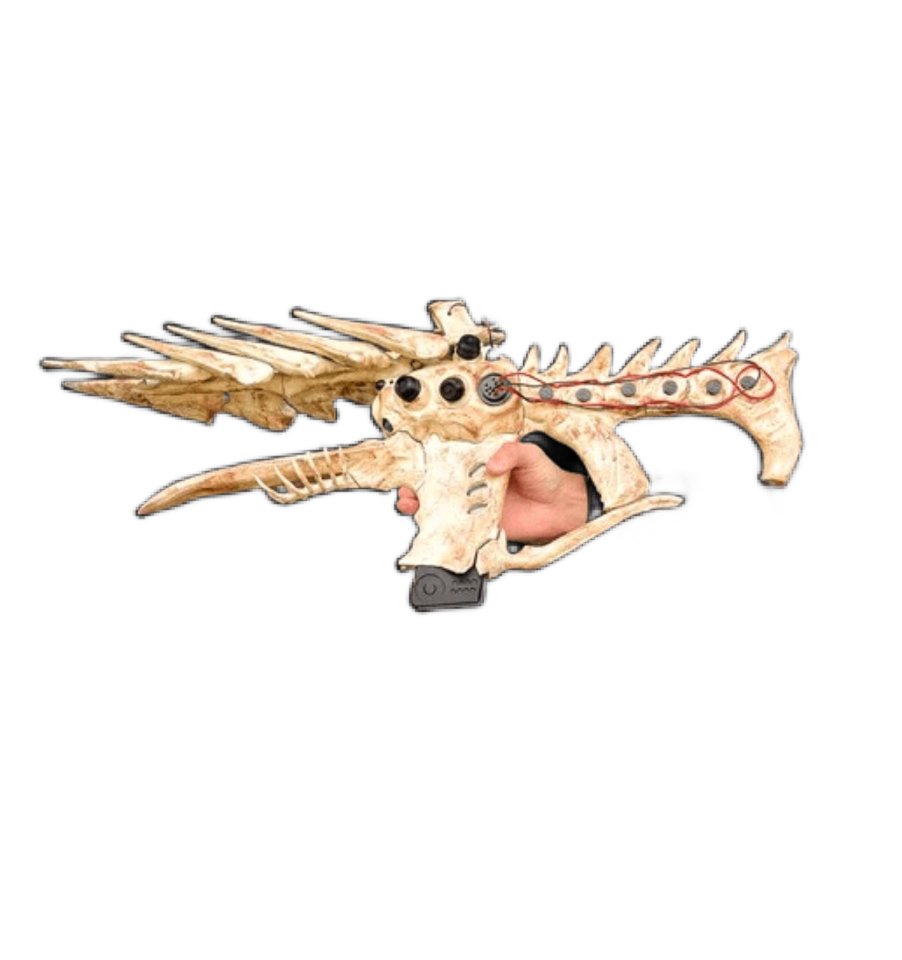 Selected Variant Image